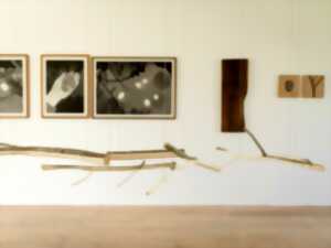 photo Exposition : Retour aux sources