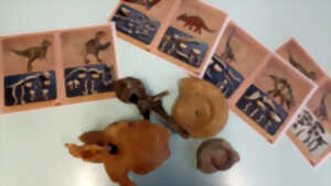 photo Le secret des dinosaures - Atelier scientifique