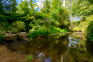 photo La Benaize dévoilée : nature et biodiversité en balade