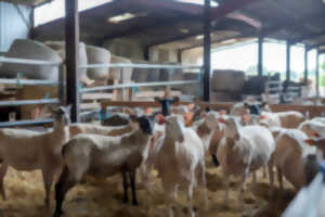 photo Visite de la Ferme Périvier : traditions et terroir