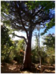 photo Le bocage dans tous ses états