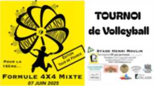 photo Tornoi de Volley-ball sur herbe