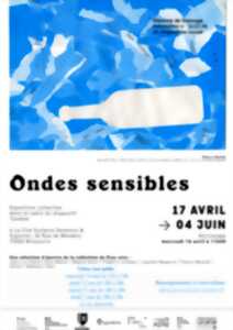 photo Exposition - Ondes sensibles
