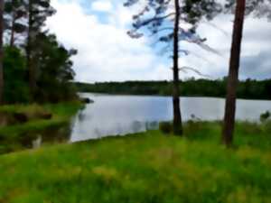 photo Animation nature au grand étang de la Jemaye - Pas si bêtes !