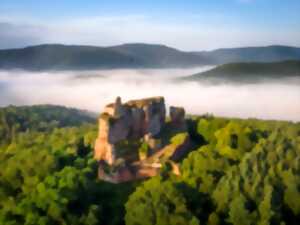 photo Une forêt cathédrale entre rochers et châteaux forts