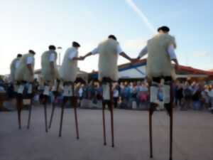 photo Animation en déambulation - Echassiers