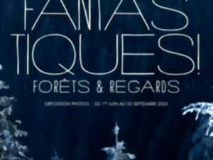 photo Expo photos - Fantastiques Forêts et Regards