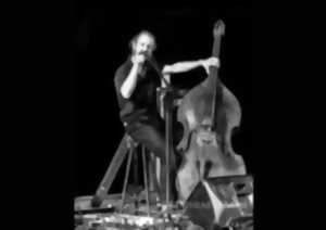 photo Spectacle | Damage Case - un conte rock'n'roll avec contrebasse