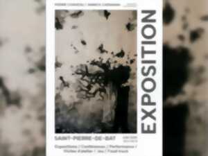 photo Exposition Pierre Chaveau / Annick Chemama