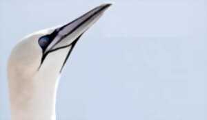 photo Festival Opale Photo Nature
