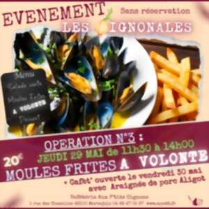 photo LES OIGNONALES