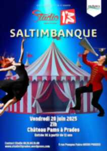 photo SPECTACLE DE FIN D'ANNÉE SALTIMBANQUE