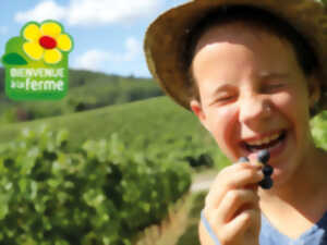 photo FERMES EN FÊTE A LA SPIRULINE DU ROUSSILLON