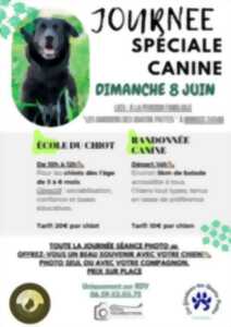 photo Journée spéciale canine