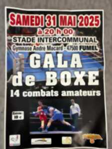 photo Gala de boxe