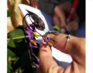 photo Atelier d'initiation à l'utilisation d'une flore