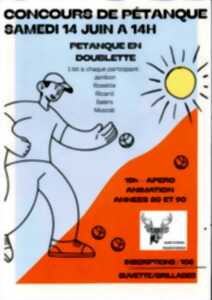 photo Concours de pétanque