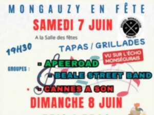 photo Mongauzy en fête