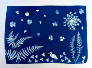 photo Initiation au cyanotype : autour du végétal