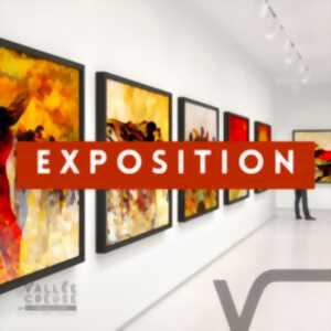 photo Exposition de Laurence Devoge