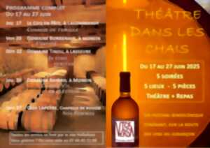 photo Théâtre dans les chais -
