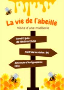 photo La vie de l'abeille - visite d'une miellerie