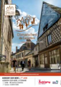 photo Dimanche de Caractère : AUBIGNY-SUR-NERE, LITTERAIRE
