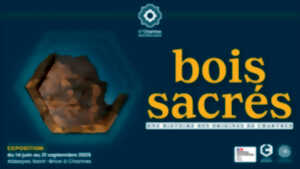 photo Exposition : Bois sacrés, une histoire des origines de Chartres - C'Chartres Archéologie