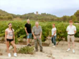 photo PIQUE-NIQUE VIGNERON AU DOMAINE TOUR SACALA