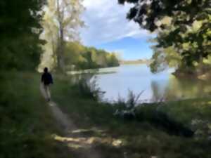 photo RANDO NATURE & PATRIMOINE