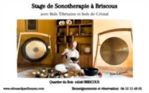 photo Stage de Sonothérapie