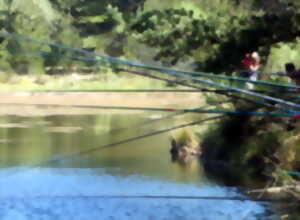 photo FÊTE DE LA PÊCHE