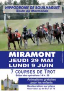 photo Courses hippiques diurnes