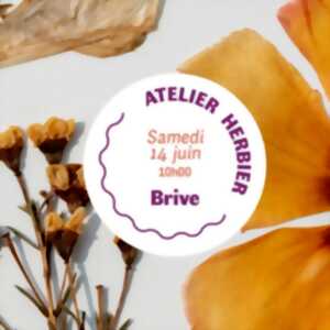 photo Atelier Création d’herbier de fleurs pressées encadré (Mlle Libellule)