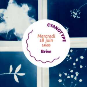 photo Atelier cyanotype (Mlle Libellule)