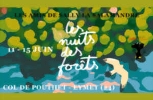 photo Nuits des forêts