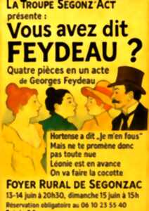 photo Théâtre - Vous avez dit feydeau ?