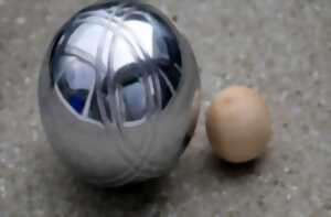 photo Les Estivales : Championnat de France de pétanque triplette