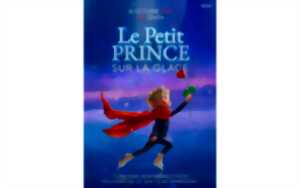 photo LE PETIT PRINCE SUR GLACE