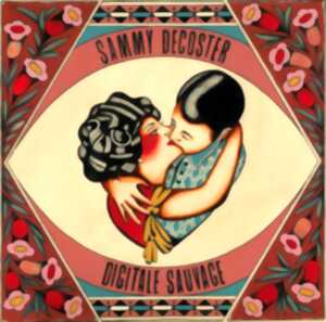 photo Concert : Sammy Decoster et Digitale Sauvage