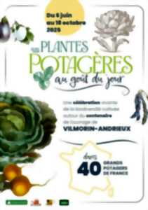 photo Les Plantes Potagères au Goût du Jour