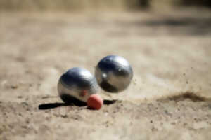 photo CONCOURS DE PÉTANQUE EN DOUBLETTES MIXTES