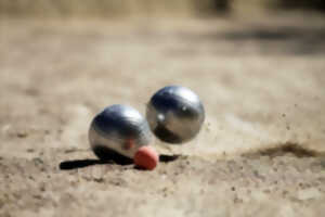 photo Concours de Pétanque