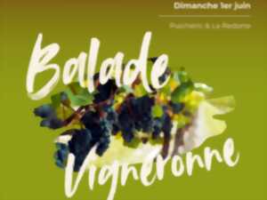 photo BALADE VIGNERONNE