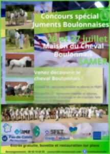 photo Concours spécial juments Boulonnaises à Samer
