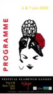 photo LA CHISPA - FESTIVAL FLAMENCO
