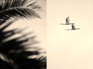 photo Exposition photo