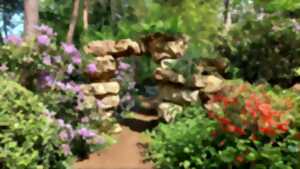 photo Rendez-vous aux jardins : Jardin Grelinette et pinceaux