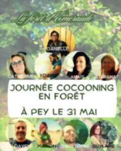 photo Journée cocooning en forêt
