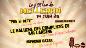 photo Le P'tit live de Melleran